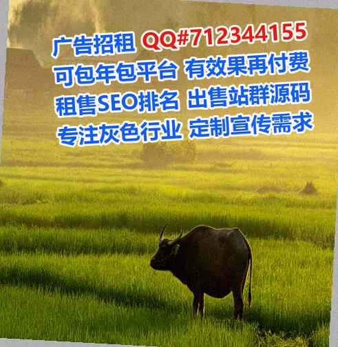 丘北代母汽车服务工作室